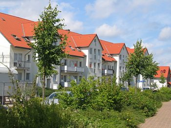 Landschaft in der Gemeinde Meine