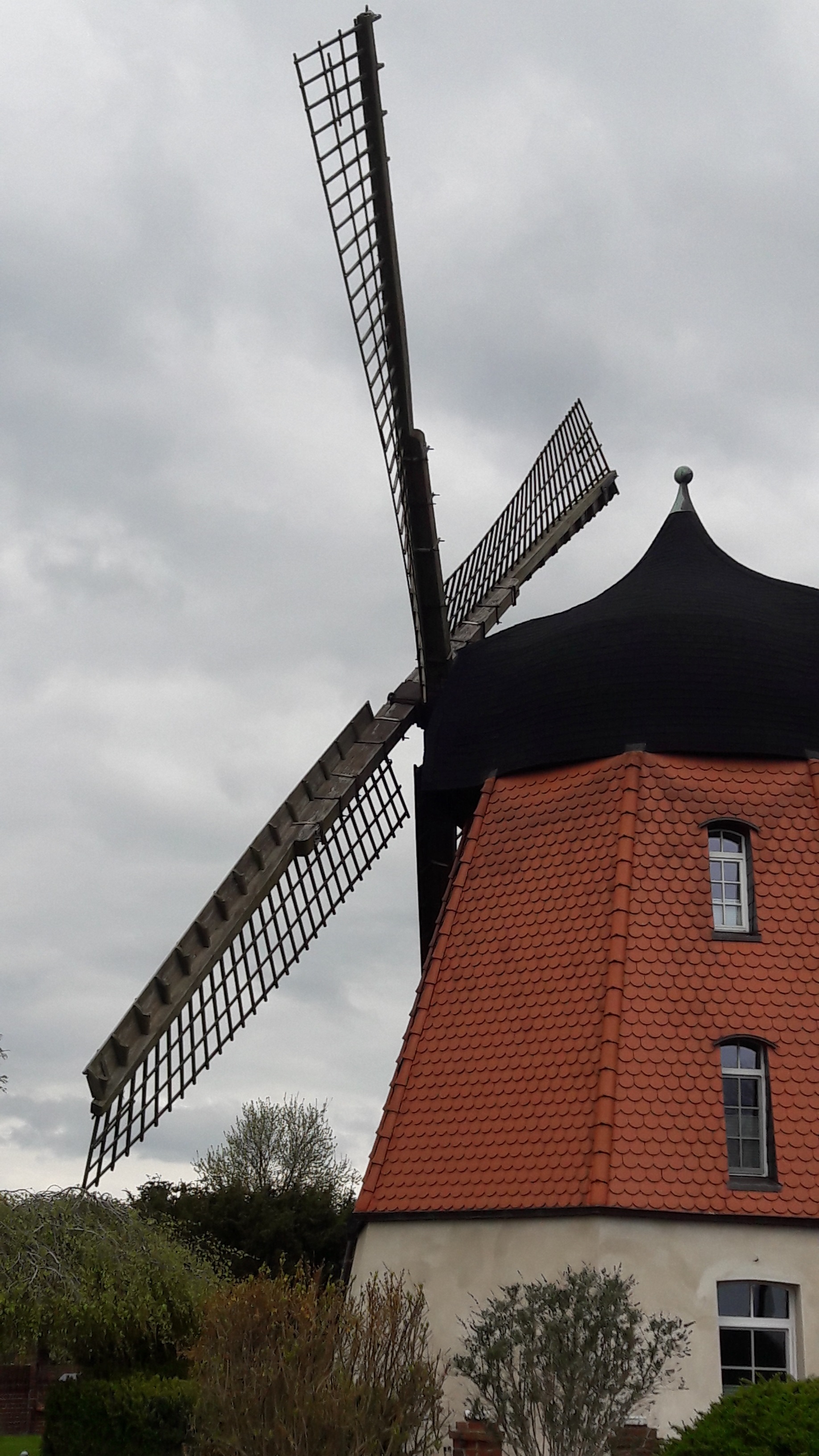 Mühle in Meine