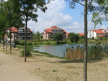 Zuckersee in Meine